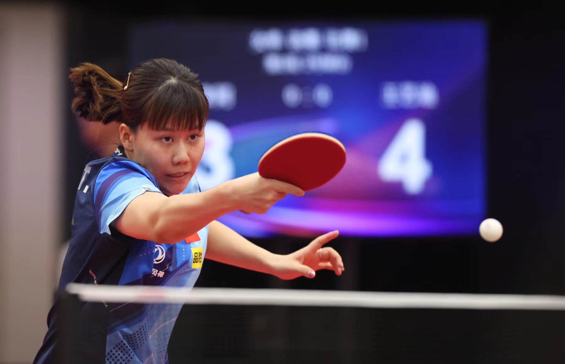 因为它不仅 因为它不仅