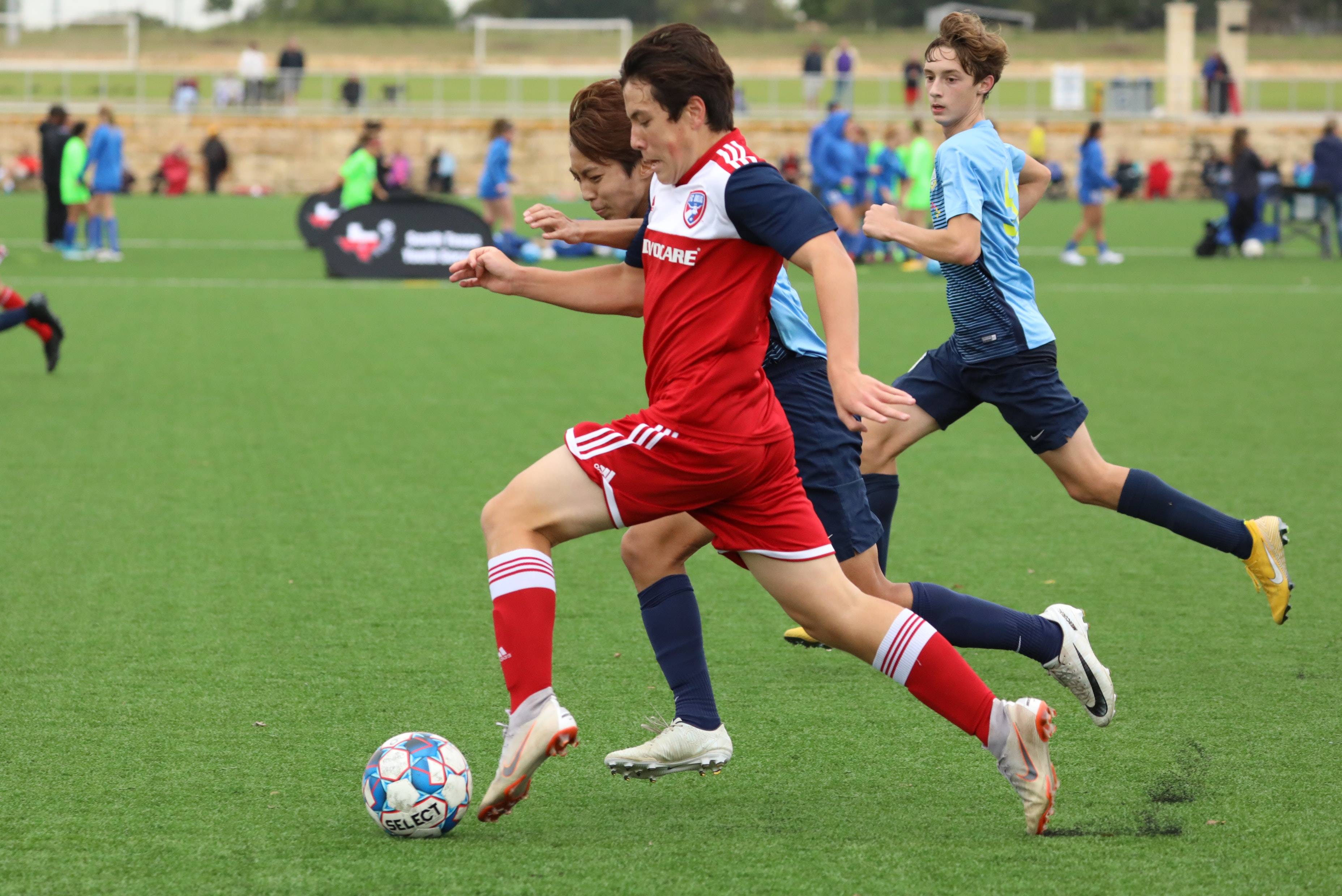 能和反应速 能和反应速