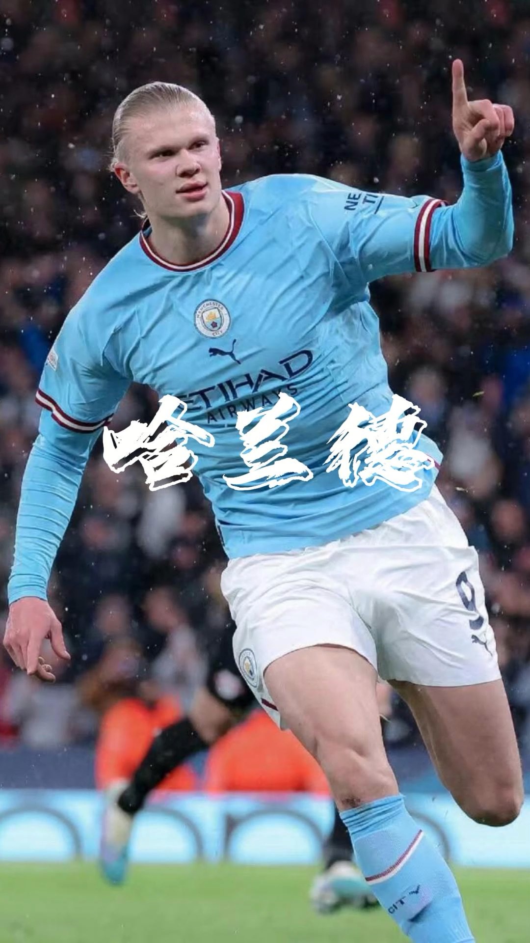 被情绪替代 被情绪替代