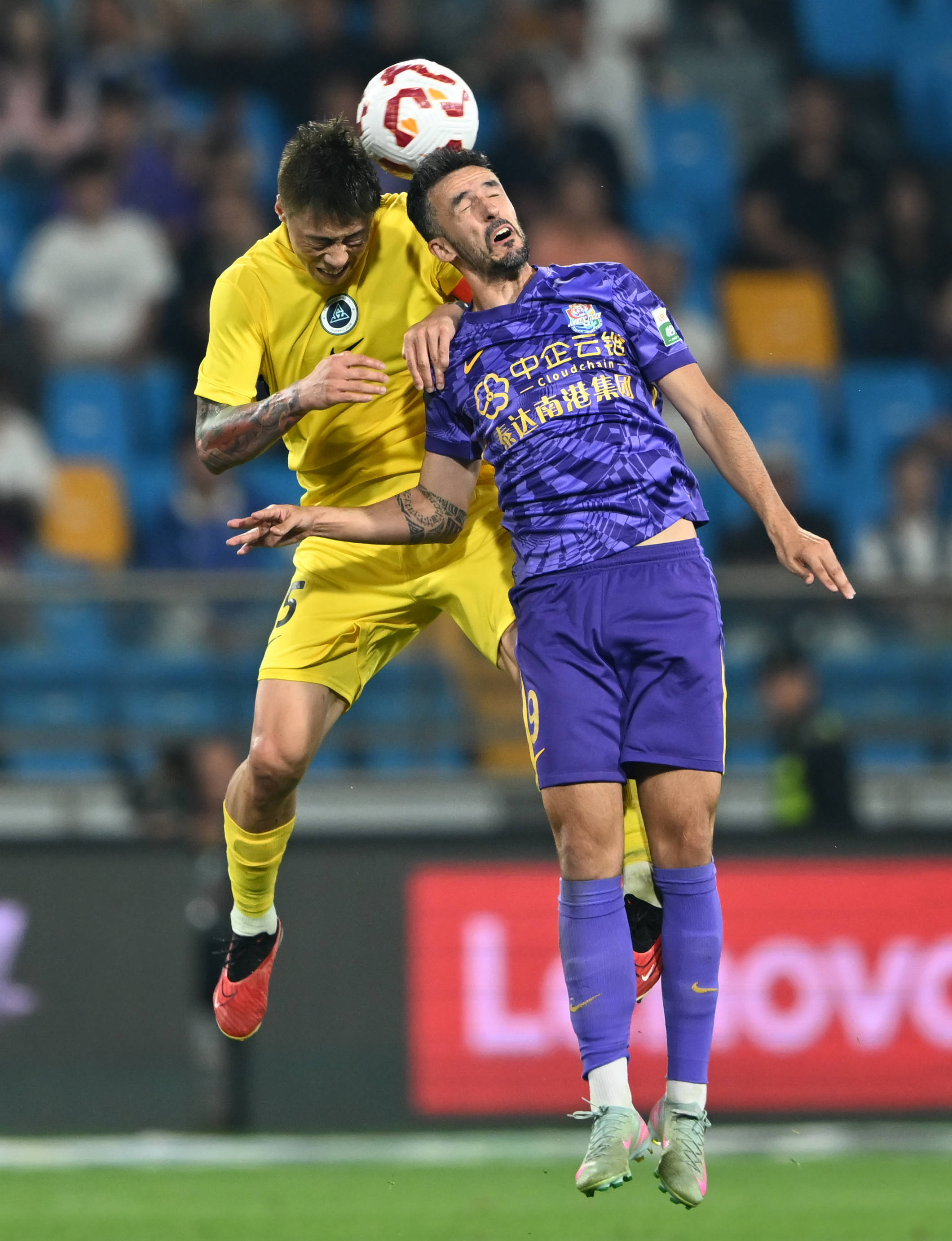 庄家可预测 庄家可预测